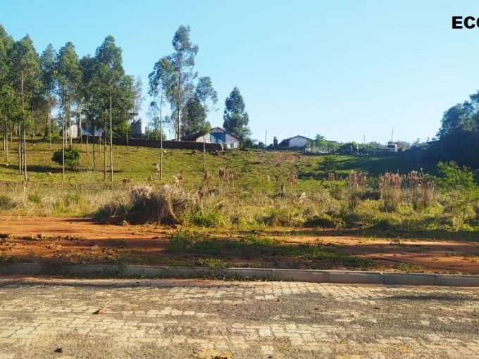 WhatsApp Image 2026 02 22 at 09.29.48