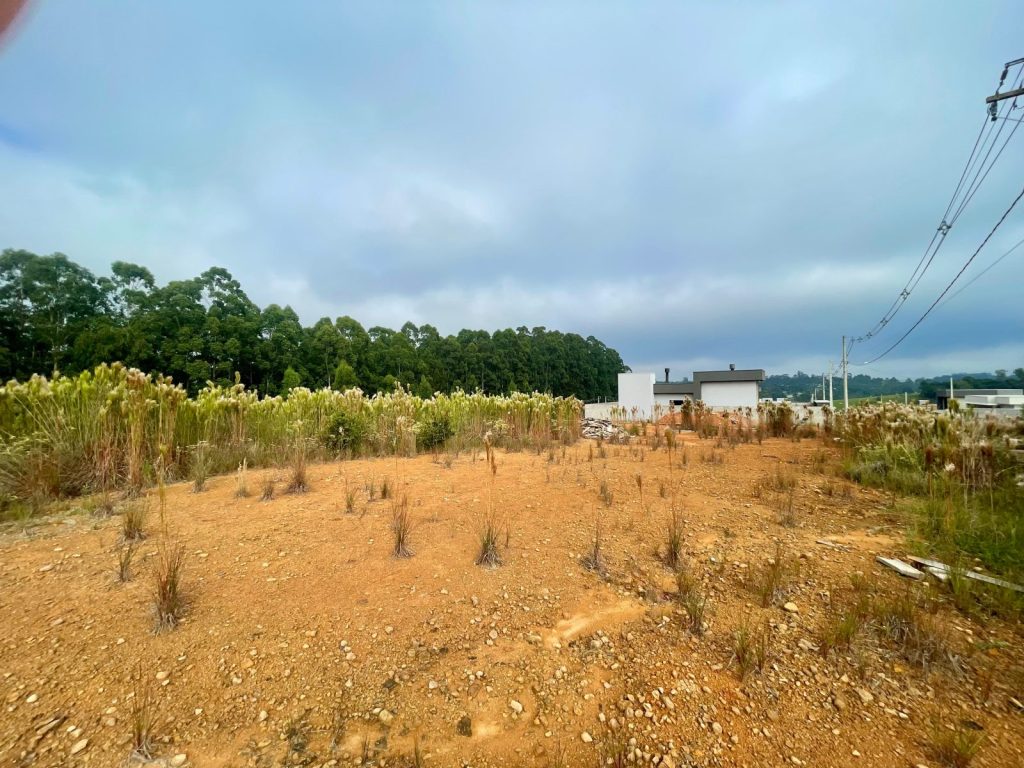 Terreno no Loteamento Porto Rico – Bairro Porto dos Pereira, Montenegro/RS